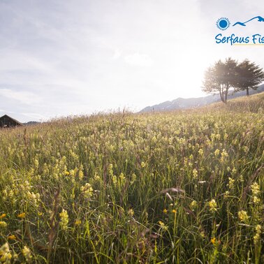 Sommerurlaub in Serfaus-Fiss-ladis in Tirol | © Serfaus-Fiss-Ladis Marketing GmbH | Andreas Kirschner