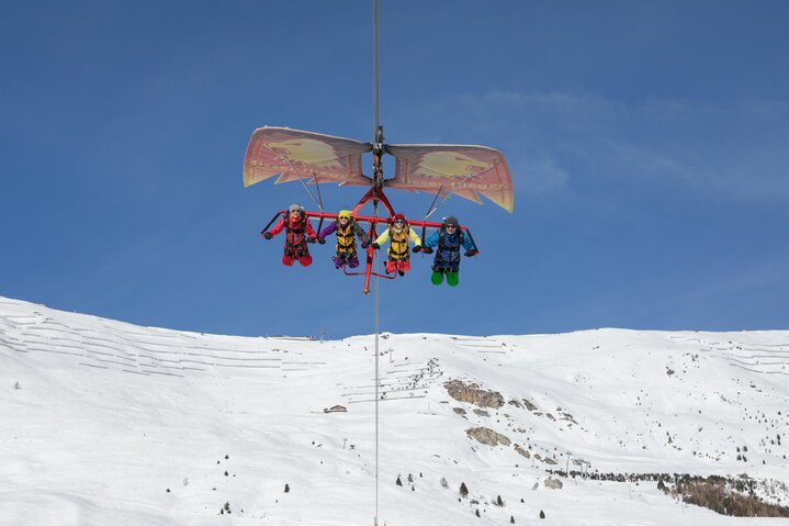 Fisser Flieger in winter