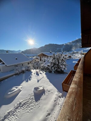 Fernblick 2, Blick auf den Garten